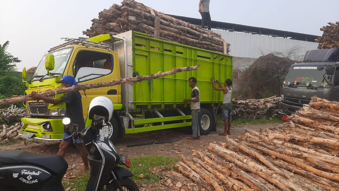 Jual Kayu Dolken Gelam Murah Pangandaran