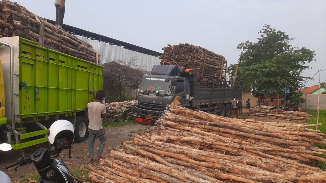Jual Kayu Dolken Gelam Murah Sumedang