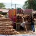 Jual Kayu Dolken Gelam Banyumas