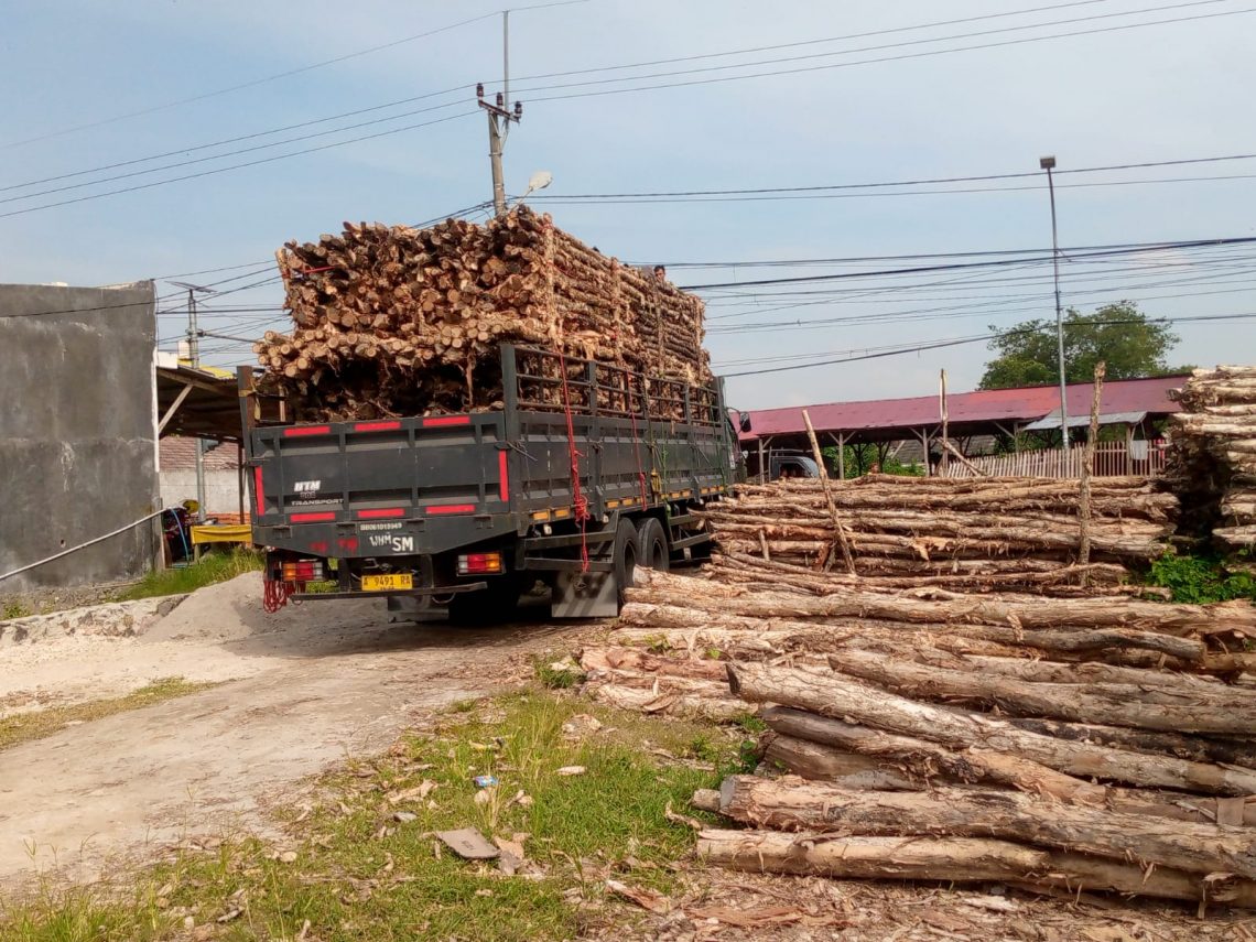 Jual Kayu Dolken Gelam Murah Jepara