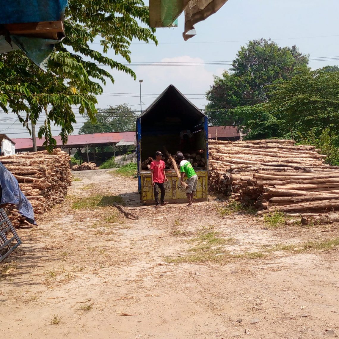 Jual Kayu Dolken Gelam Murah Jember