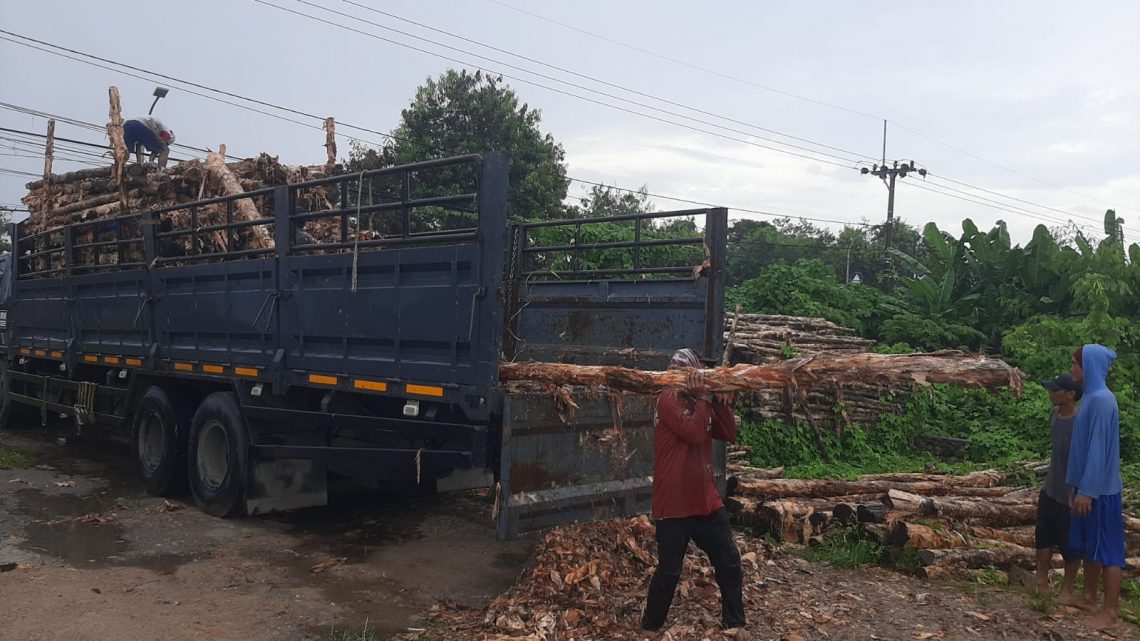 Jual Kayu Dolken Gelam Murah Klaten