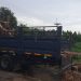 Jual Kayu Dolken Gelam Murah Magelang