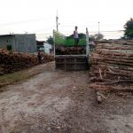 Jual Kayu Dolken Banyuwangi
