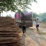 Jual Kayu Dolken Blitar