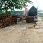 Jual Kayu Dolken Situbondo